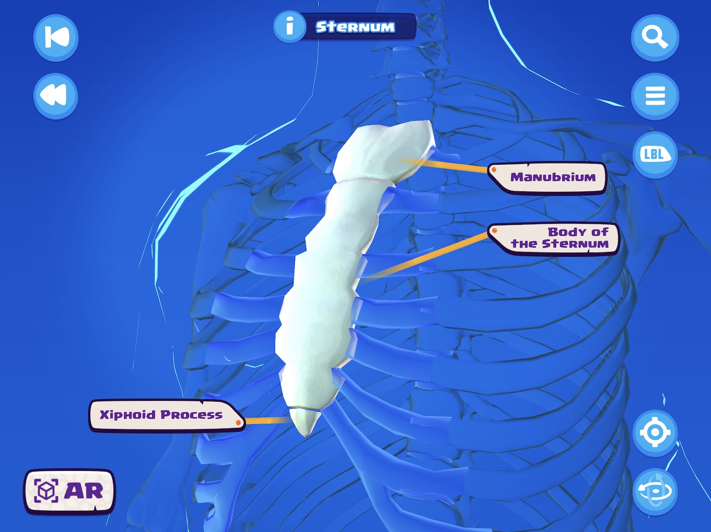 Liberty Science Center :: Players explore anatomy and chemistry in U.S.  Army online games